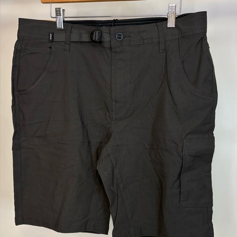 NWT Stretch Zion 10" Shorts - sz 34